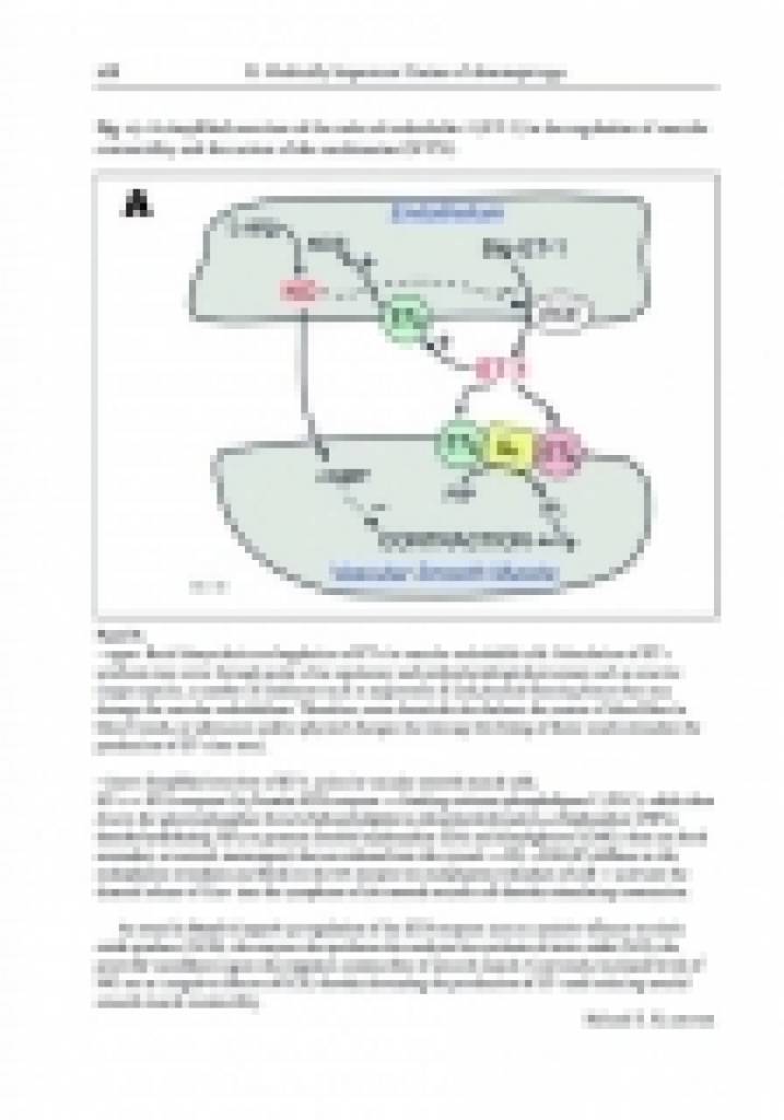 The African and Middle Eastern Burrowing Asps